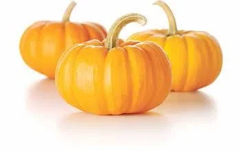 فوائد اليقطين (قرع العسل)