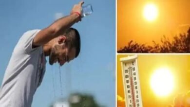 ضربة الشمس قاتلة: تحذيرات ونصائح من استشاري أمراض باطنية وتنفسية