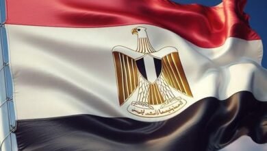 مصر تجدد دعوتها لإخلاء منطقة الشرق الأوسط من الأسلحة النووية وكافة أسلحة الدمار الشامل