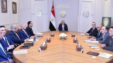 الرئيس عبد الفتاح السيسي يستقبل الرئيس التنفيذي لشركة "سكاتك" النرويجية