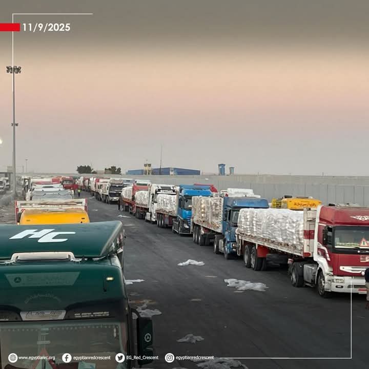 الهلال الأحمر المصري يدفع نحو 2500 طن مساعدات غذائية وإغاثية عبر قافلة «زاد العزة» الـ 37 إلى غزة