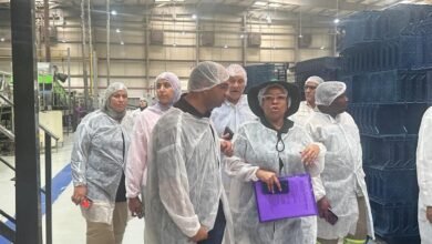 الزراعة تفتح سوق جديد للصادرات المصرية مع جنوب أفريقية