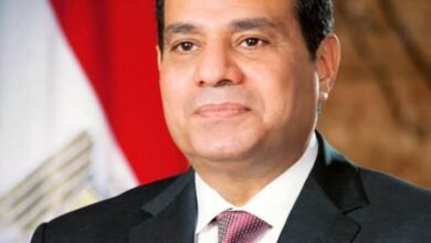 الرئيس السيسي يشيد بجهود القوات المسلحة في دعم ركائز الأمن والاستقرار بمناسبة ذكرى نصر أكتوبر المجيد